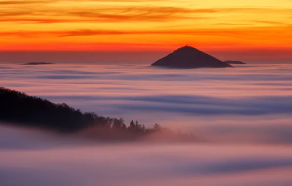 Forest, the sky, clouds, mountains, forest, sky, mountains, clouds