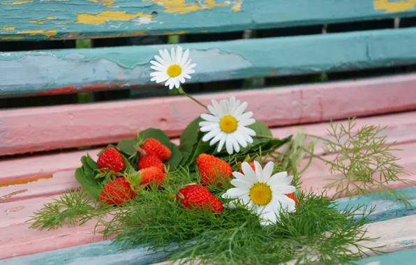 Picture leaves, chamomile, strawberry, dill