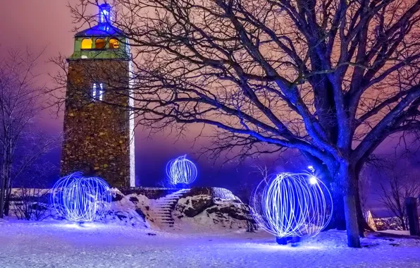 Winter, trees, night, the city, lights, tower