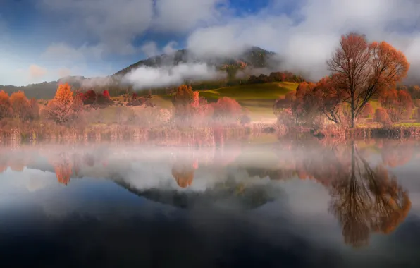 Autumn, forest, the sky, clouds, trees, mountains, nature, fog