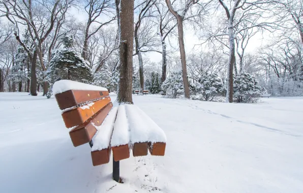 Picture winter, snow, trees, nature, Park, square, bench