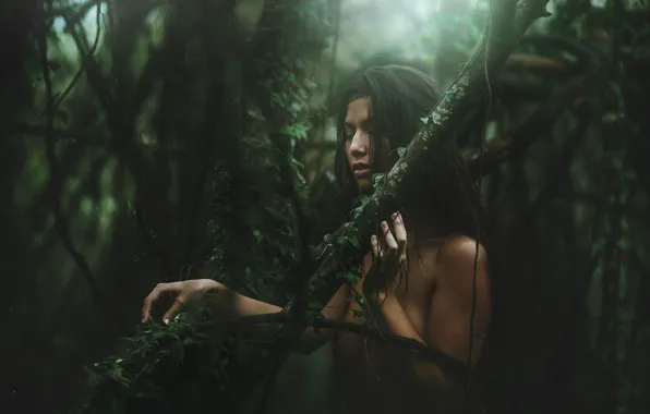 Forest, chest, girl, model, naked, photographer, girl, breast