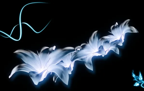 Flowers, Lily, neon
