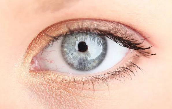 Eyes, macro, forever