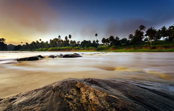 Picture nature, river, palm trees, Pinnawala, Sri-Lanka