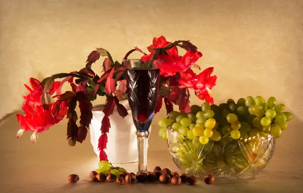 Flowers, wine, glass, grapes, vase, nuts, hazelnuts, Schlumbergera