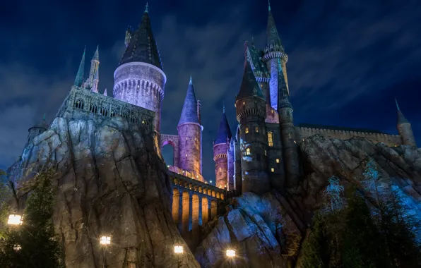 Night, the city, castle, lights, Disneyland