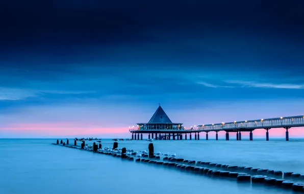 Sea, the sky, clouds, blue, bridge, blue, bird, shore