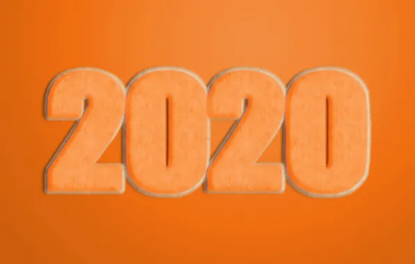 New year, fur, New Year, 2020