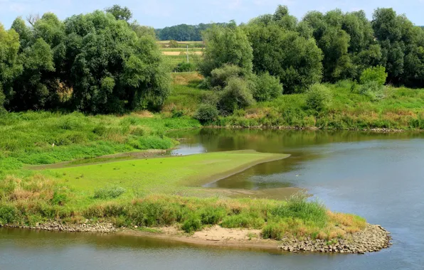 Picture summer, nature, river