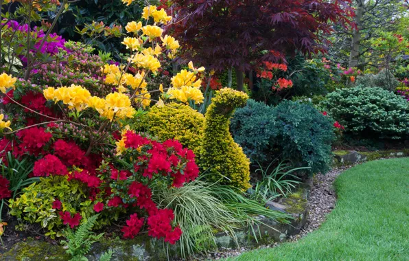 Picture grass, trees, flowers, design, lawn, England, garden, the bushes
