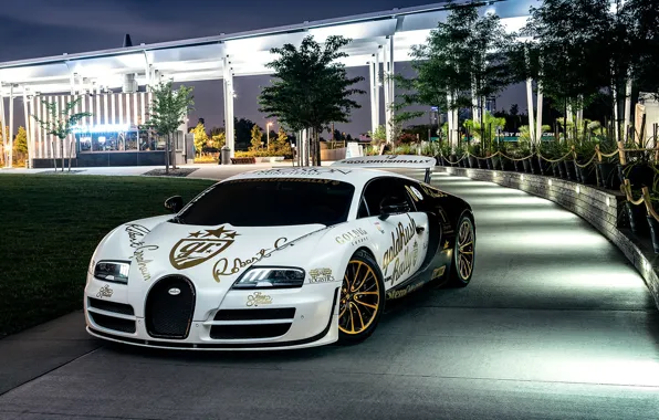 Picture Bugatti, Veyron, Front, New York, NYC, White, Supersport, Spoiler