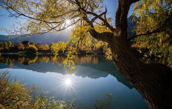 Picture autumn, lake, reflection, tree, France, France, La Roche-de-RAM, La Roche-de-Rame