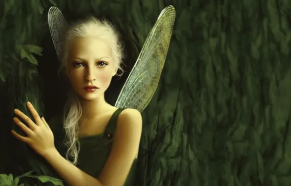 Look, hand, fairy, wings, oak, Forest