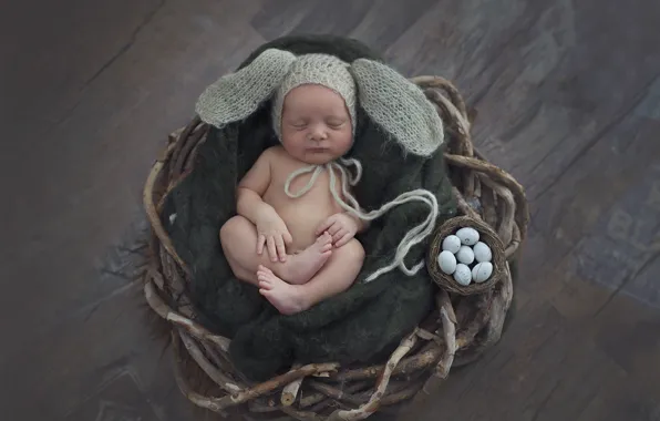 Branches, hat, sleep, eggs, boy, ears, baby
