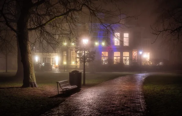 Picture trees, bench, night, lights, fog, Park, lawn, home