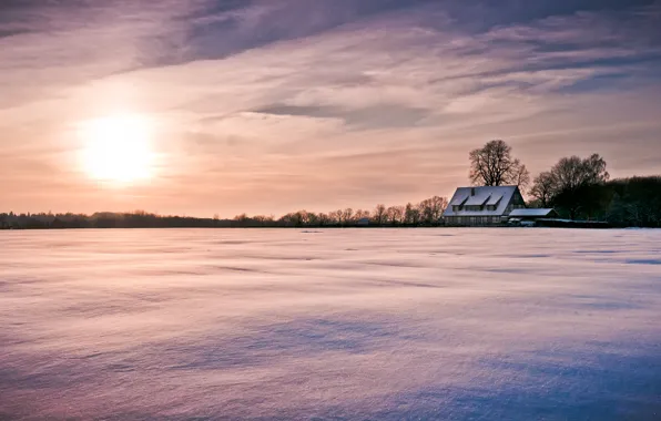 Picture winter, the sky, the sun, clouds, snow, trees, nature, house