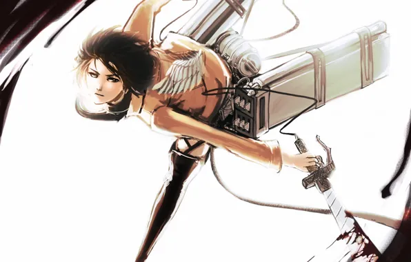 Girl, art, Shingeki no Kyojin, Mikasa Ackerman