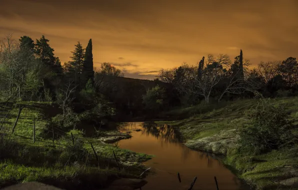 Picture stream, the evening, sunset, trees