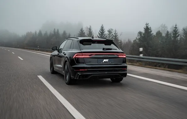 Road, fog, overcast, Audi, speed, TDI, rear view, crossover
