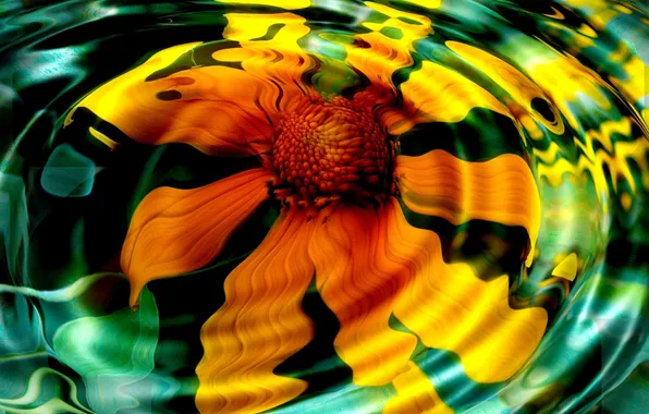 Petals, yellow flower, circles on the water