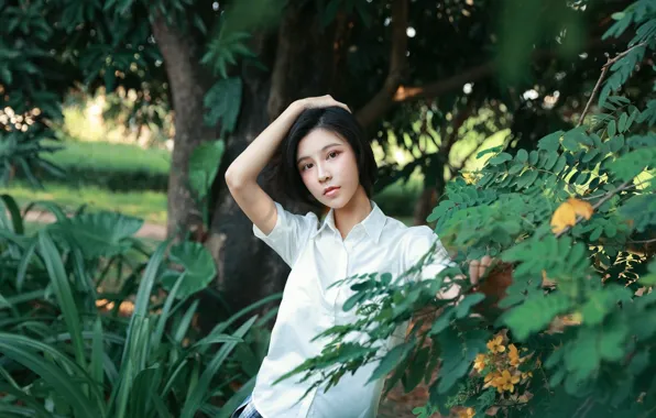 Beautiful, Asian, Model, Tree, Woman, Pretty, Japanese, Outdoor