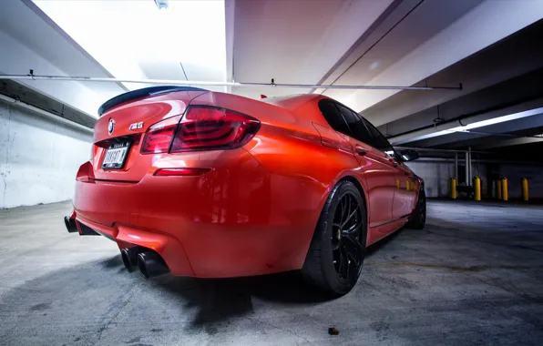 Orange, shadow, BMW, BMW, back, f10, exhaust pipe, Sakhir Orange