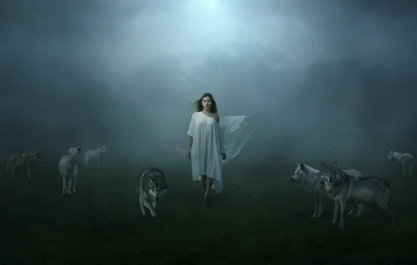 Girl, fog, wolves
