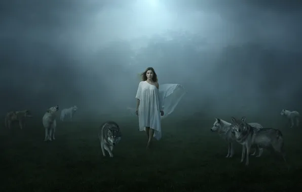 Girl, fog, wolf
