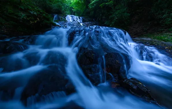 Forest, water, trees, river, stones, rocks, waterfall, stream