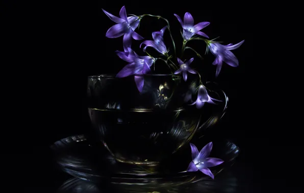 Cup, black background, bells