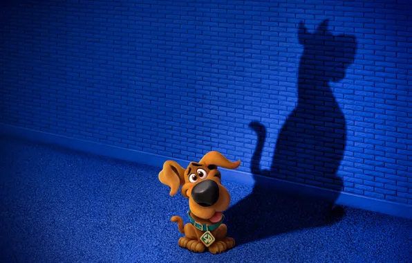 Shadow, dog, dog, puppy, puppy, dog, dog, Scooby-Doo