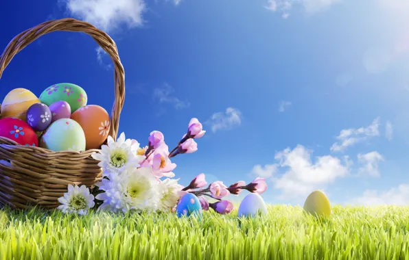 Picture grass, the sun, flowers, basket, spring, Easter, flowers, spring