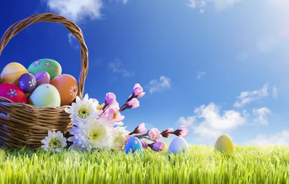 Grass, the sun, flowers, basket, spring, Easter, flowers, spring