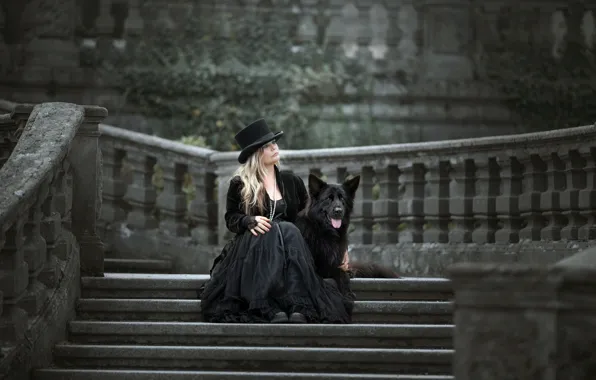 Background, woman, dog