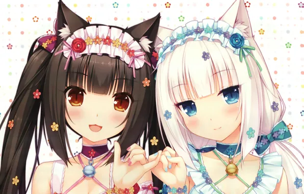 Heterochromia, Video Game, Nekopara, Coconut (Nekopara), Azuki (Nekopara),  Nekopara Vol 2, HD wallpaper | Peakpx