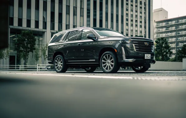 Cadillac, Jeep, Cadillac, Escalade, Front, SUV, Luxury, Front view