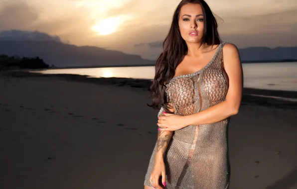 Picture sexy, dress, boobs, tattoos, busty, Charley Atwell, metal mesh