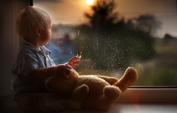 Picture drops, reflection, toy, child, boy, baby, bear, window
