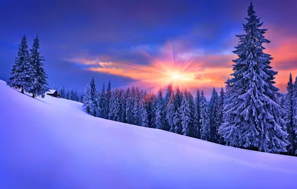 beautiful snow scenery