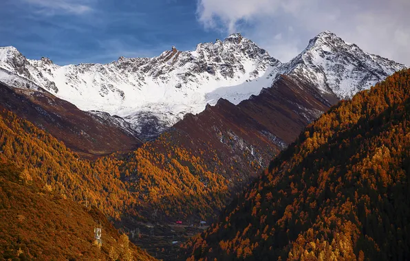Autumn, forest, mountains, nature, Tibet