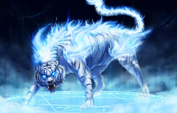 Picture blue, tiger, fire