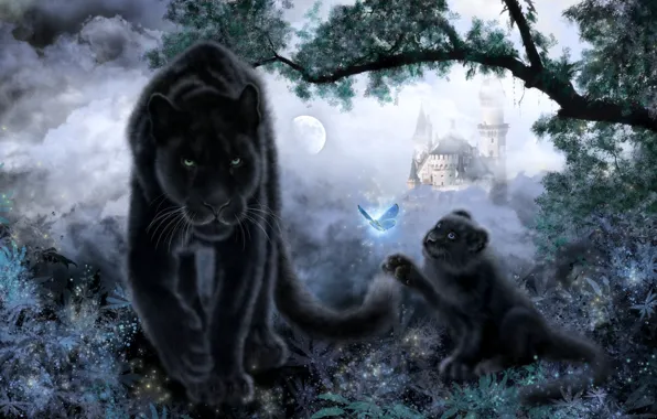 Picture cat, look, rendering, background, butterfly, color, Jaguar, kitty