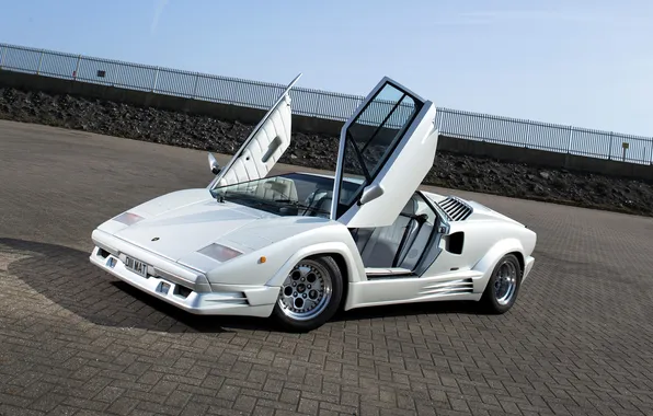 Car, Lamborghini, door, Lambo, white, Countach, 1988, 25 Anniversary