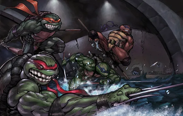 Water, weapons, sword, ninja, rat, Rafael, turtles, Donatello