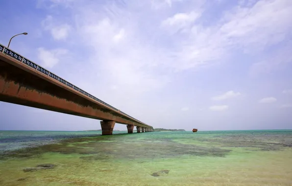 City, bridge, building
