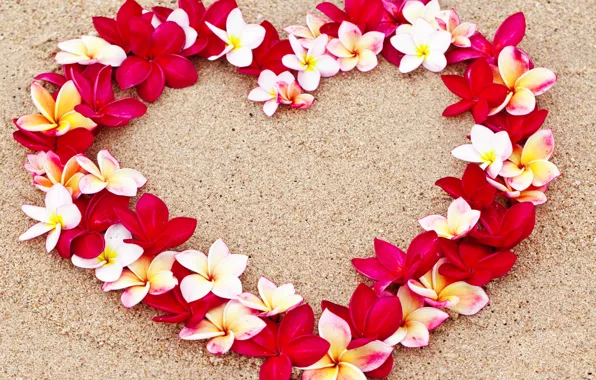 Sand, flowers, close-up, design, heart, Valentine's day, bokeh, plumeria