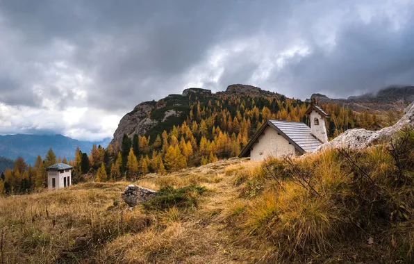 Autumn, forest, grass, clouds, mountains, stones, overcast, tops
