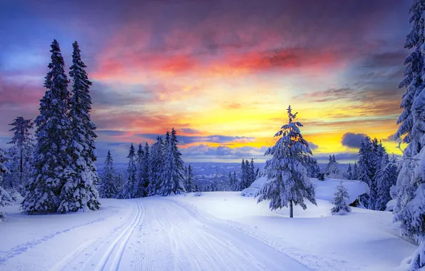 Winter, forest, the sky, the sun, snow, landscape, sunset, nature