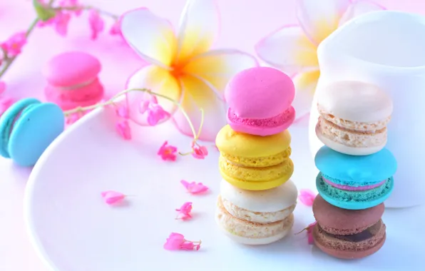 Flowers, the sweetness, tape, cake, cakes, plumeria, macaroon